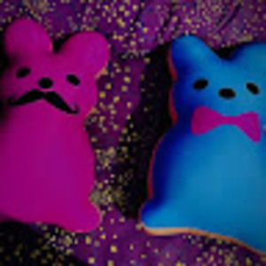 Meet your Posher, Camden